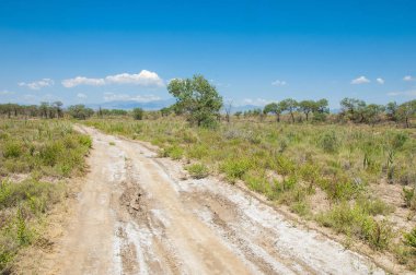 Bozkır yaz. Turgai Kaydet. Çölde Gölü