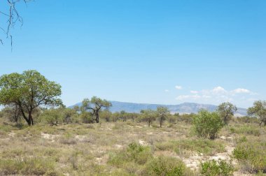 Bozkır yaz. Turgai Kaydet. Çölde Gölü