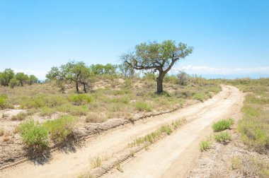Bozkır yaz. Turgai Kaydet. Çölde Gölü