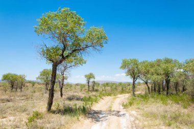 Bozkır yaz. Turgai Kaydet. Çölde Gölü