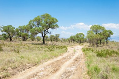 Bozkır yaz. Turgai Kaydet. Çölde Gölü