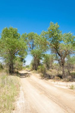 Bozkır yaz. Turgai Kaydet. Çölde Gölü