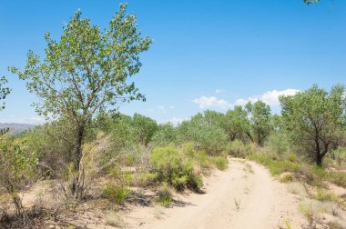 Bozkır yaz. Turgai Kaydet. Çölde Gölü