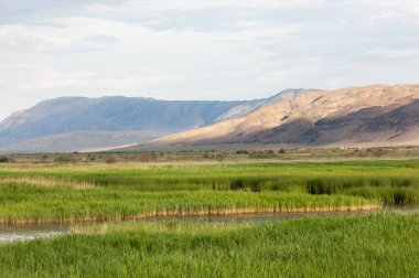 Bozkır yaz. Turgai Kaydet. Çölde Gölü
