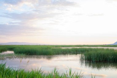 Bozkır yaz. Turgai Kaydet. Çölde Gölü
