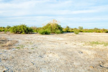 Serum fizyolojik bozkır. Ölü bitkiler. Sıcak yaz