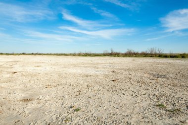Serum fizyolojik bozkır. Ölü bitkiler. Sıcak yaz