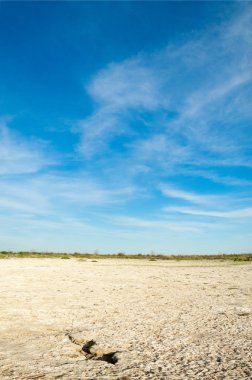 Serum fizyolojik bozkır. Ölü bitkiler. Sıcak yaz