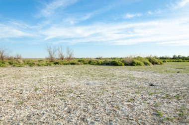Serum fizyolojik bozkır. Ölü bitkiler. Sıcak yaz