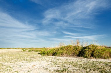 Serum fizyolojik bozkır. Ölü bitkiler. Sıcak yaz