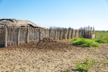 Çöl, vahşi doğa, kumlar, yabani hayvanlar, atıklar, sahara