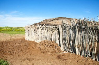 Çöl, vahşi doğa, kumlar, yabani hayvanlar, atıklar, sahara