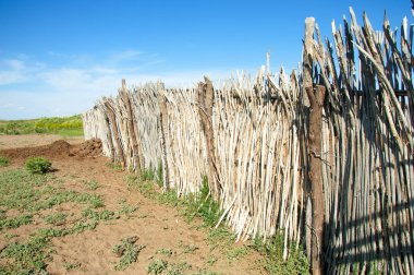 Çöl, vahşi doğa, kumlar, yabani hayvanlar, atıklar, sahara
