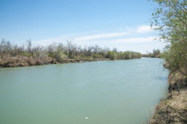 Bozkır nehir sazlık yaz