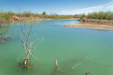 Bozkır nehir sazlık yaz
