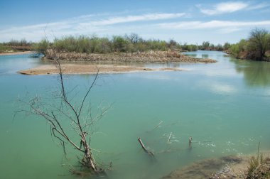 Bozkır nehir sazlık yaz