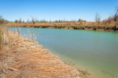 Bozkır nehir sazlık yaz