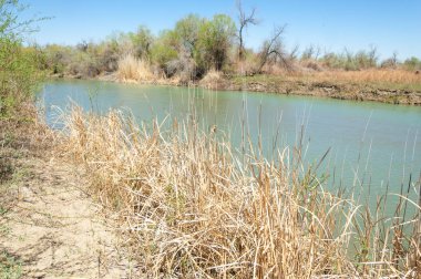 Bozkır nehir sazlık yaz