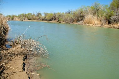 Bozkır nehir sazlık yaz