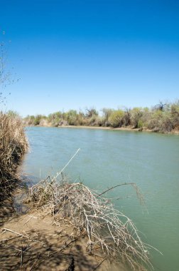 Bozkır nehir sazlık yaz