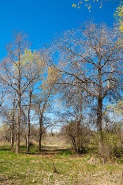 Bozkır, bozkır, bozkır, bozkır