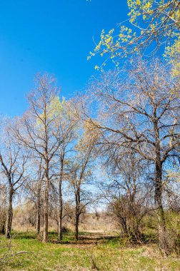 Bozkır, bozkır, bozkır, bozkır