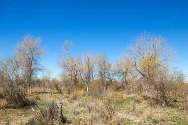 Bozkır, bozkır, bozkır, bozkır