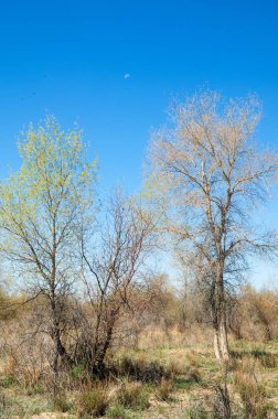 Bozkır, bozkır, bozkır, bozkır