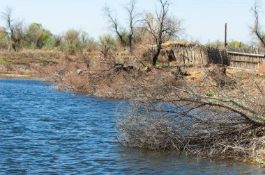 Çöl, vahşi doğa, kumlar, yabani hayvanlar, atıklar, sahara