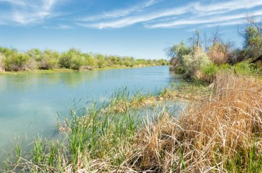 Bozkır nehir sazlık yaz