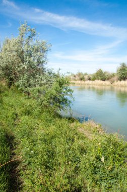 Bozkır nehir sazlık yaz