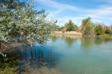 Bozkır nehir sazlık yaz