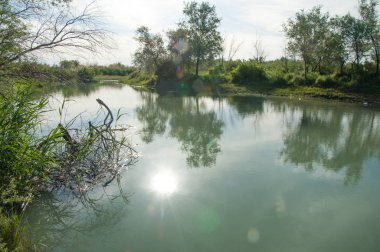 Bozkır nehir sazlık yaz