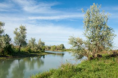 Bozkır nehir sazlık yaz