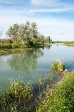 Bozkır nehir sazlık yaz