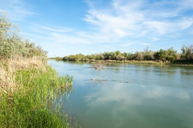 Bozkır nehir sazlık yaz