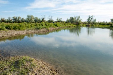 Bozkır nehir sazlık yaz