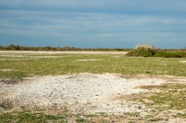 Bozkır tuzlu topraklar