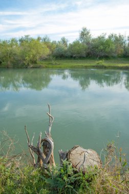 Bozkır nehir sazlık yaz