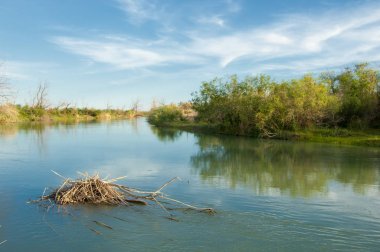 Bozkır nehir sazlık yaz