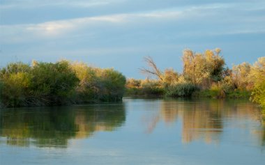 Bozkır nehir sazlık yaz