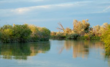 Bozkır nehir sazlık yaz
