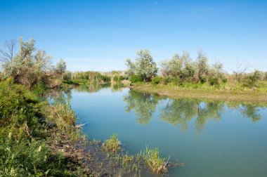 Bozkır nehir sazlık yaz