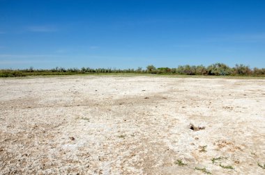 Bozkır tuzlu topraklar