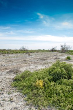 Bozkır tuzlu topraklar