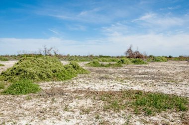 Bozkır tuzlu topraklar