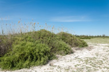Bozkır tuzlu topraklar