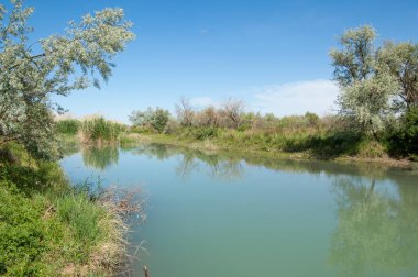 Bozkır nehir sazlık yaz