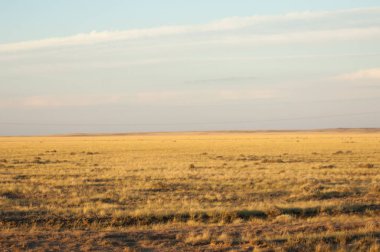 Kır. ve Larga açık alan in-belgili tanımlık otlak,