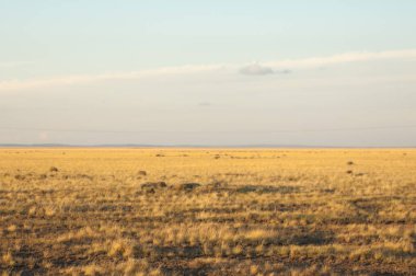 Kır. ve Larga açık alan in-belgili tanımlık otlak,